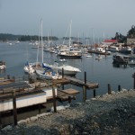 Ganges Marina on Saltspring Island