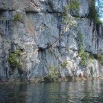 Amazing how things can grow out of rock cliffs